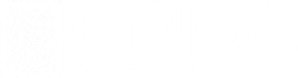 Ginga